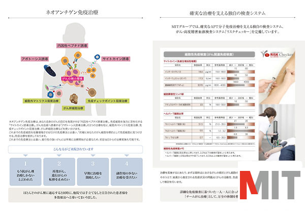  MIT パンフレット