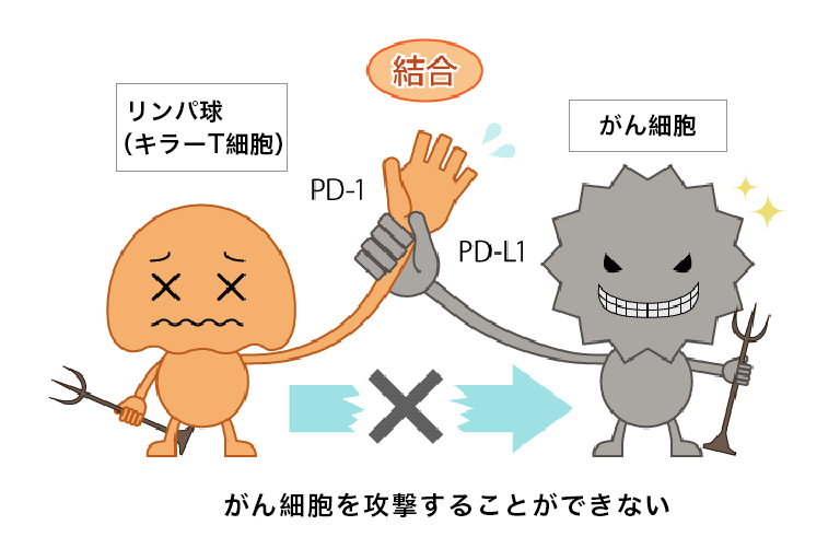 免疫チェックポイント阻害剤イラスト1