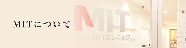 MITについて