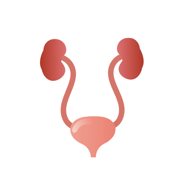 尿管がん（腎盂）