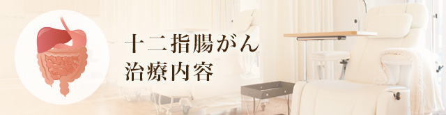 十二指腸がん治療内容