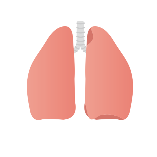 肺